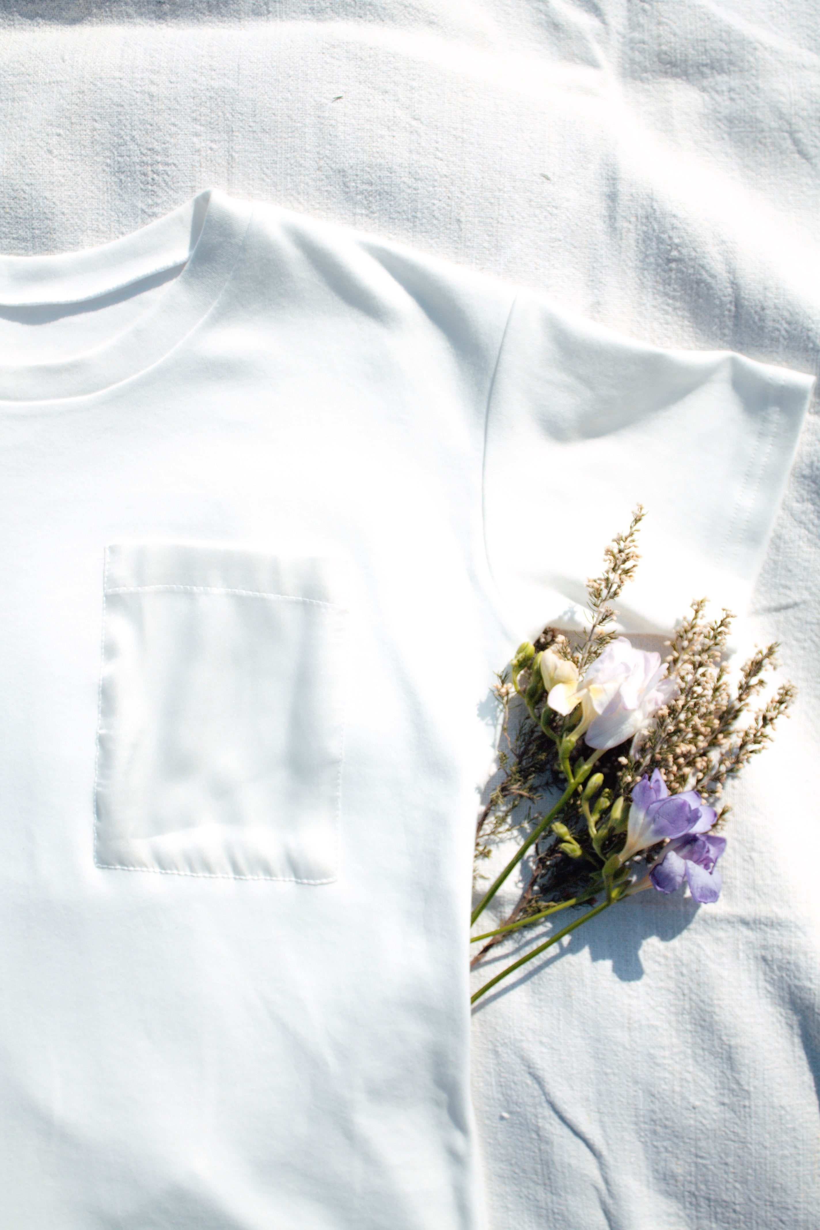 100% organic cotton t-shirt (off-white)